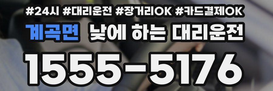 계곡면 낮에 하는 대리운전