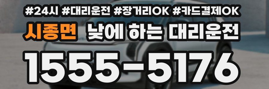 시종면 낮에 하는 대리운전