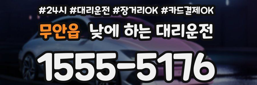 무안읍 낮에 하는 대리운전