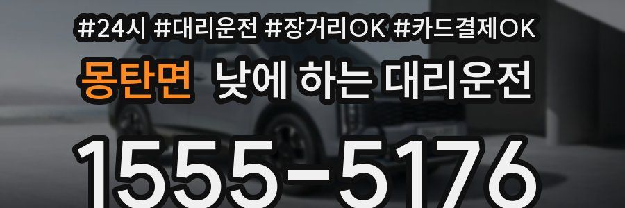 몽탄면 낮에 하는 대리운전