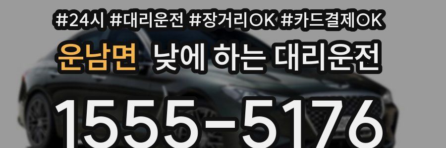 운남면 낮에 하는 대리운전