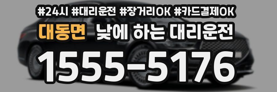 대동면 낮에 하는 대리운전