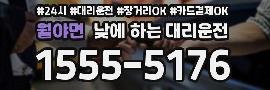 월야면 낮에 하는 대리운전