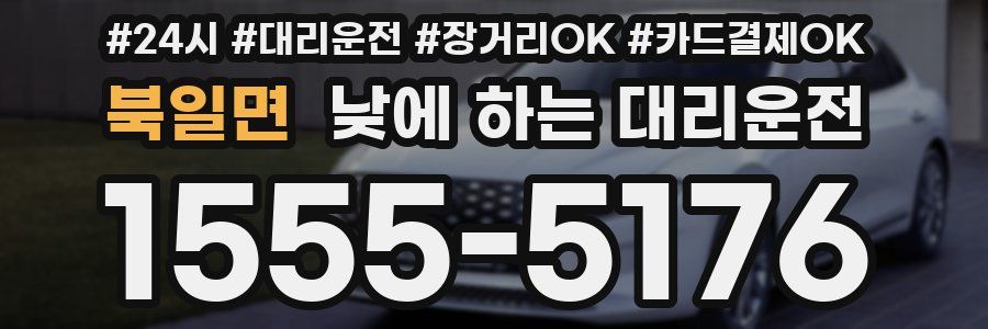 북일면 낮에 하는 대리운전