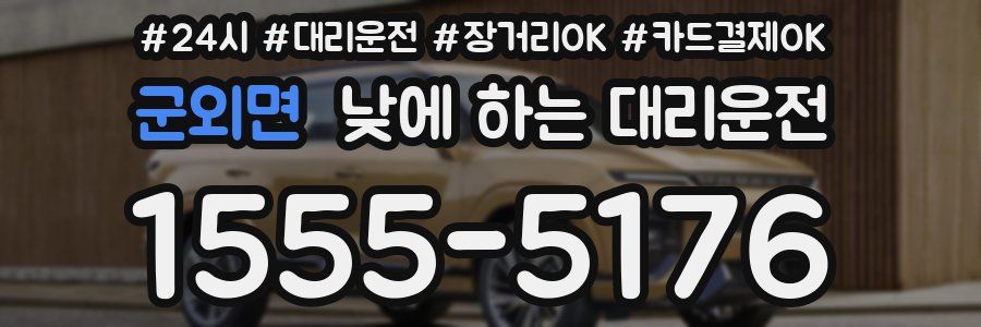 군외면 낮에 하는 대리운전