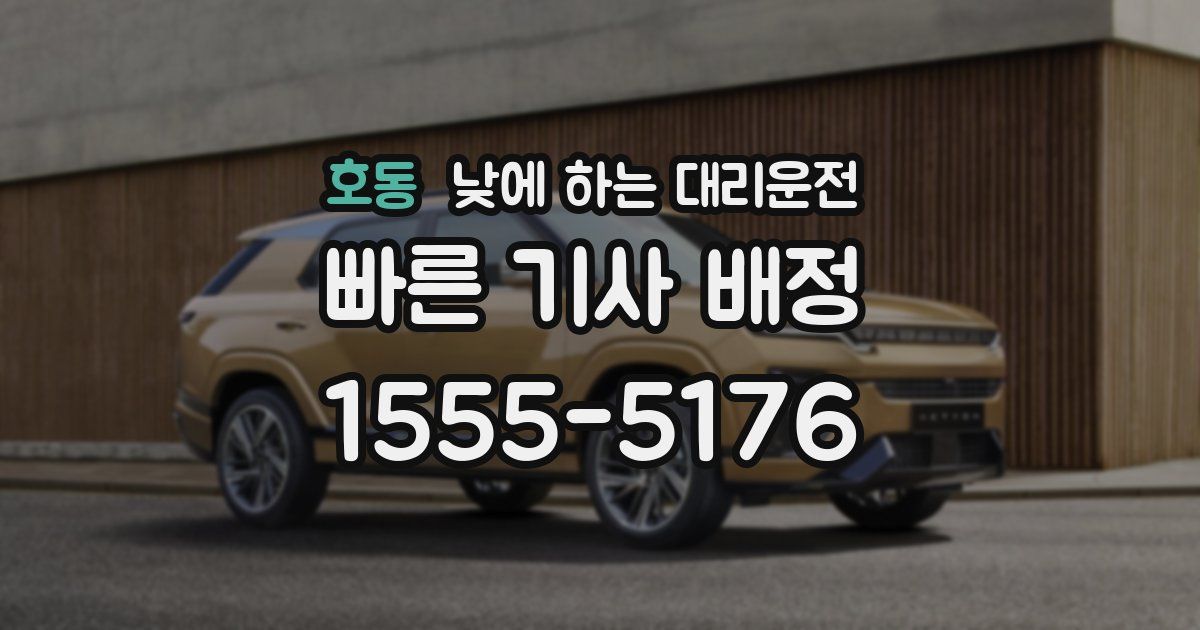 호동 낮에 하는 대리운전