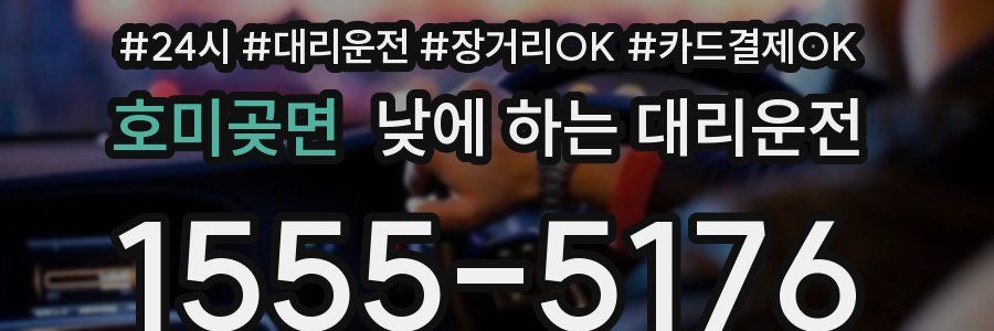 호미곶면 낮에 하는 대리운전