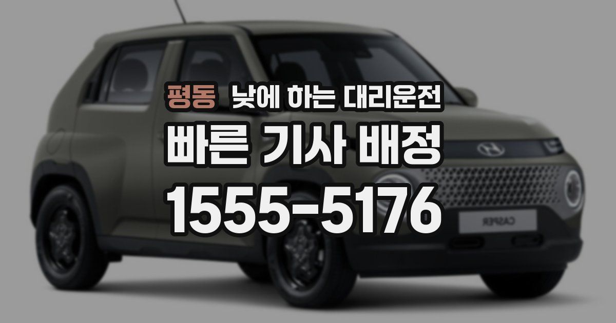 평동 낮에 하는 대리운전