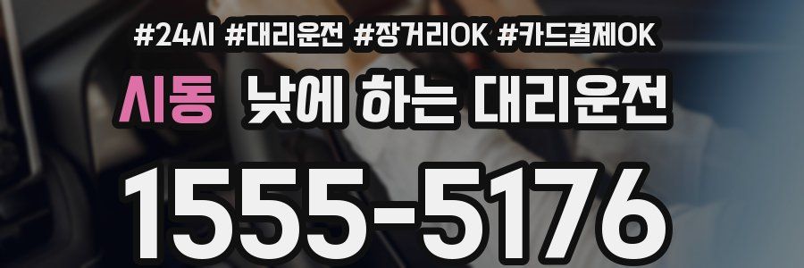 시동 낮에 하는 대리운전