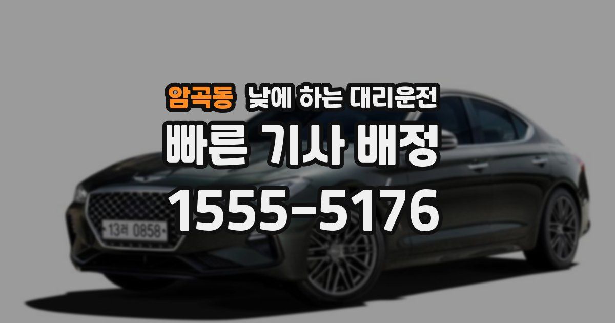 암곡동 낮에 하는 대리운전
