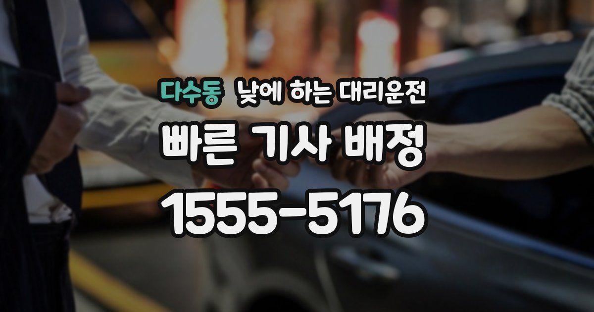 다수동 낮에 하는 대리운전