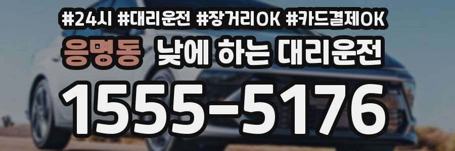 응명동 낮에 하는 대리운전