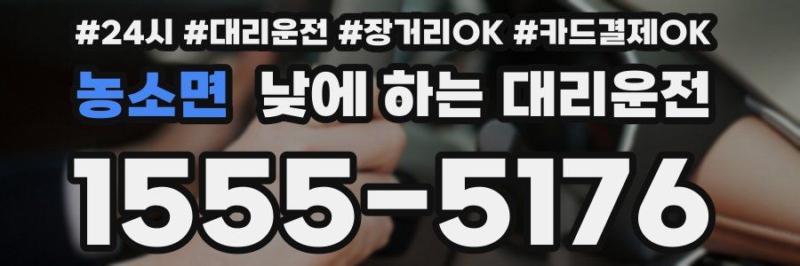 농소면 낮에 하는 대리운전