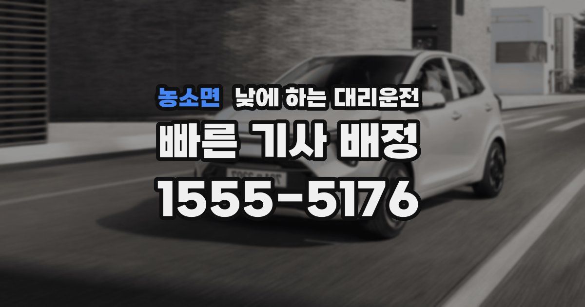 농소면 낮에 하는 대리운전