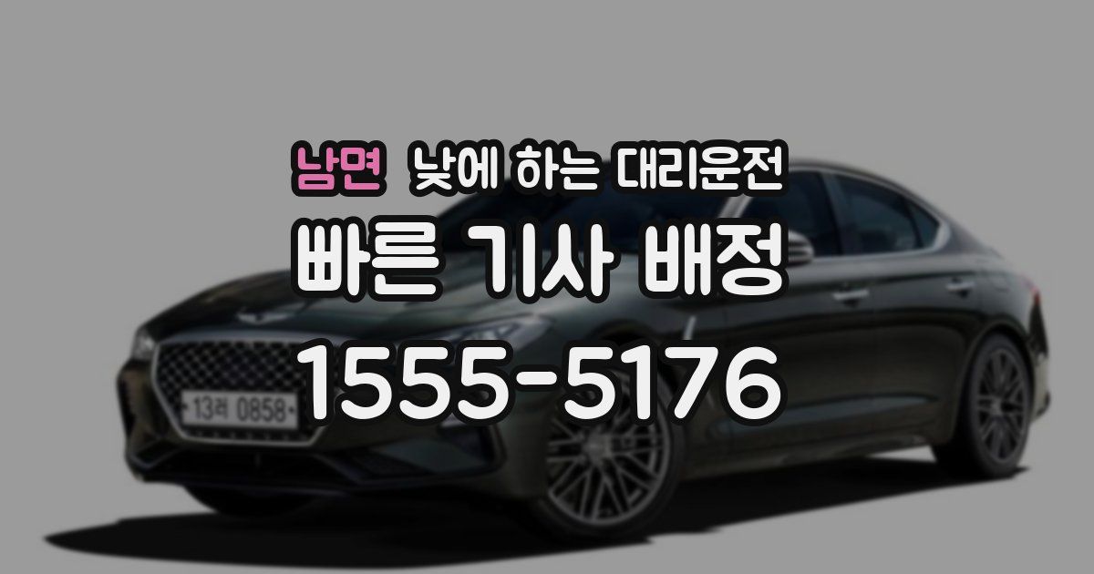 남면 낮에 하는 대리운전