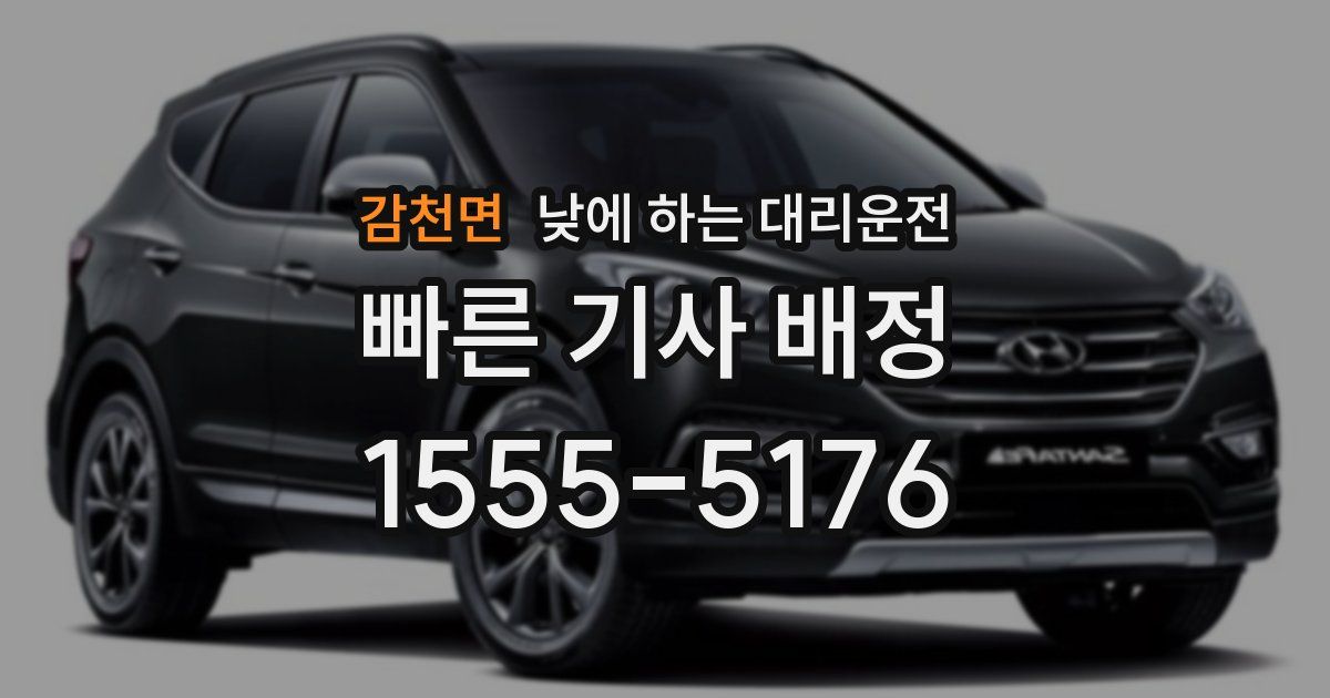감천면 낮에 하는 대리운전