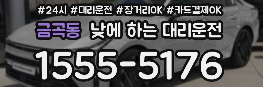 금곡동 낮에 하는 대리운전