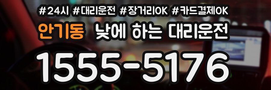 안기동 낮에 하는 대리운전