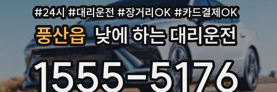 풍산읍 낮에 하는 대리운전