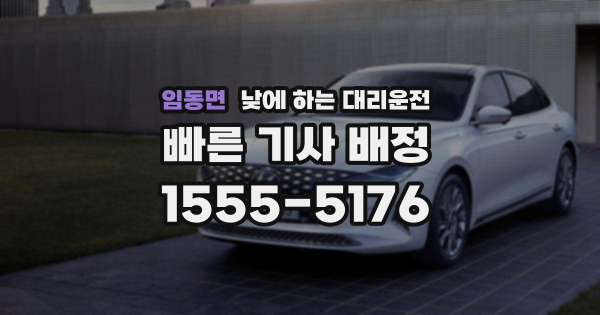임동면 낮에 하는 대리운전