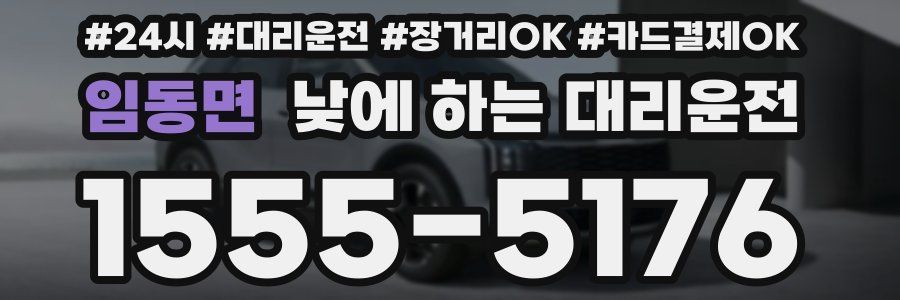 임동면 낮에 하는 대리운전