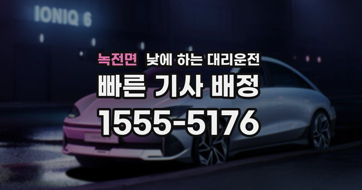 녹전면 낮에 하는 대리운전