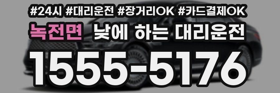 녹전면 낮에 하는 대리운전