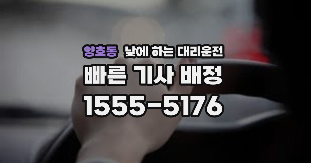 양호동 낮에 하는 대리운전