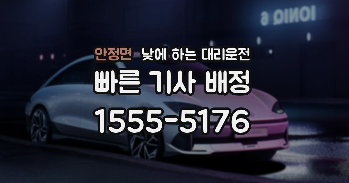 안정면 낮에 하는 대리운전