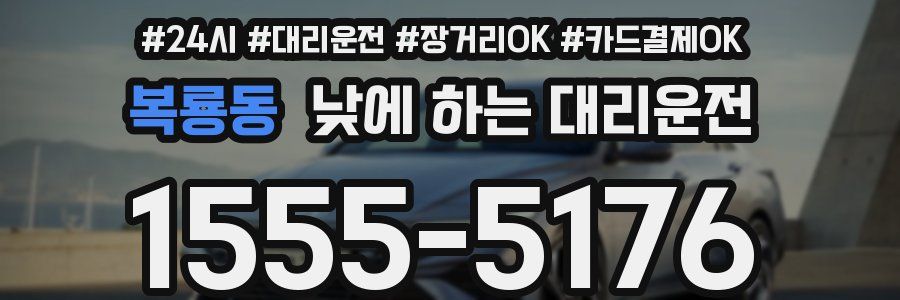 복룡동 낮에 하는 대리운전