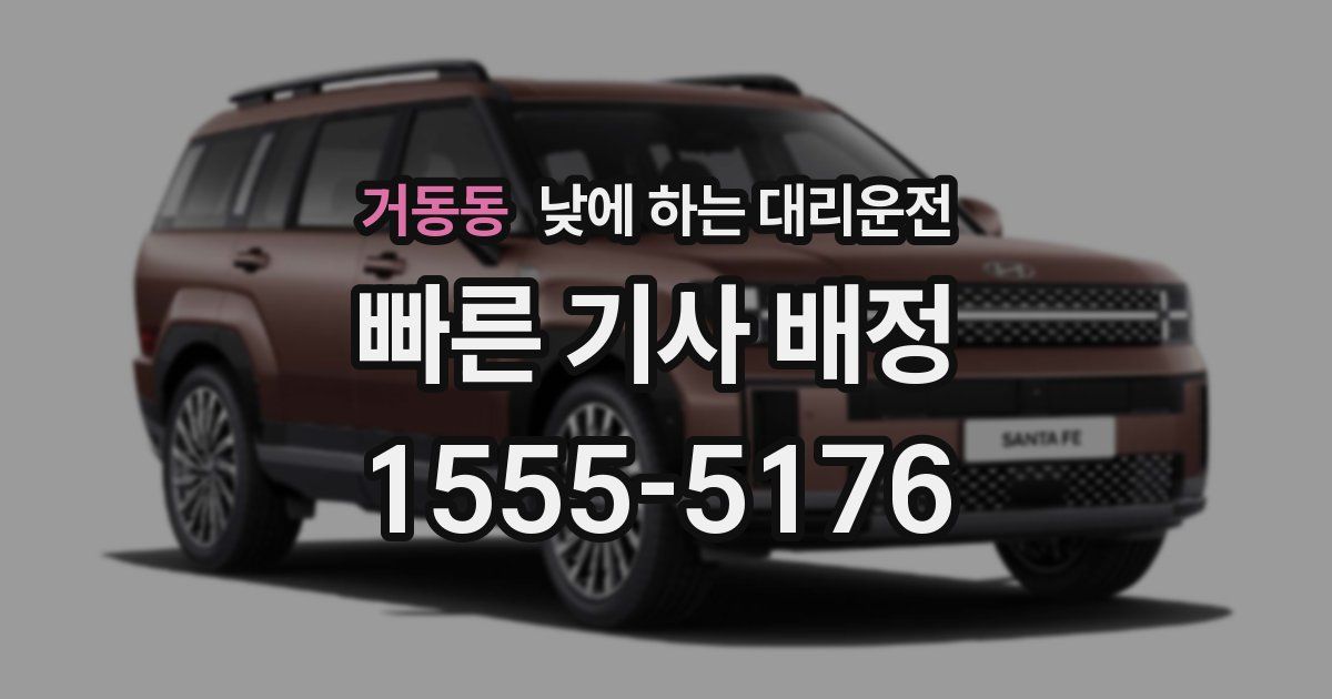 거동동 낮에 하는 대리운전