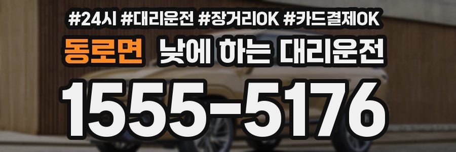 동로면 낮에 하는 대리운전