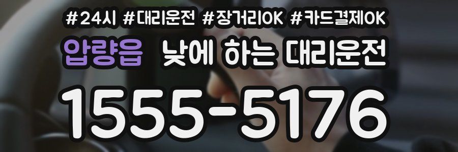 압량읍 낮에 하는 대리운전