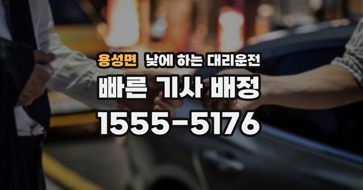 용성면 낮에 하는 대리운전