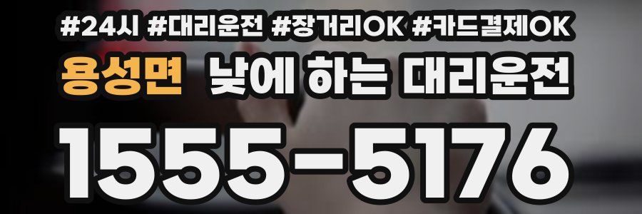 용성면 낮에 하는 대리운전