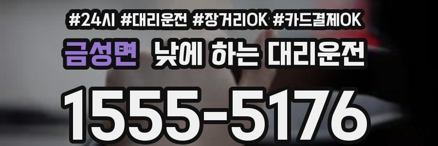 금성면 낮에 하는 대리운전