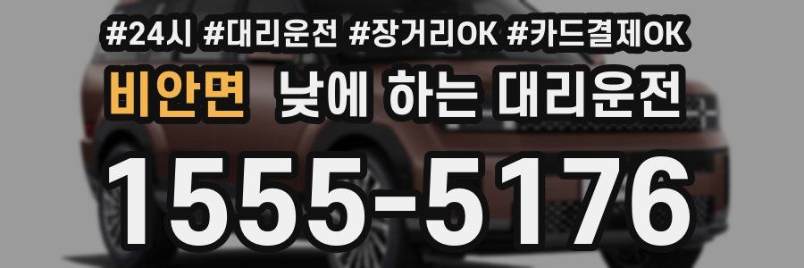 비안면 낮에 하는 대리운전