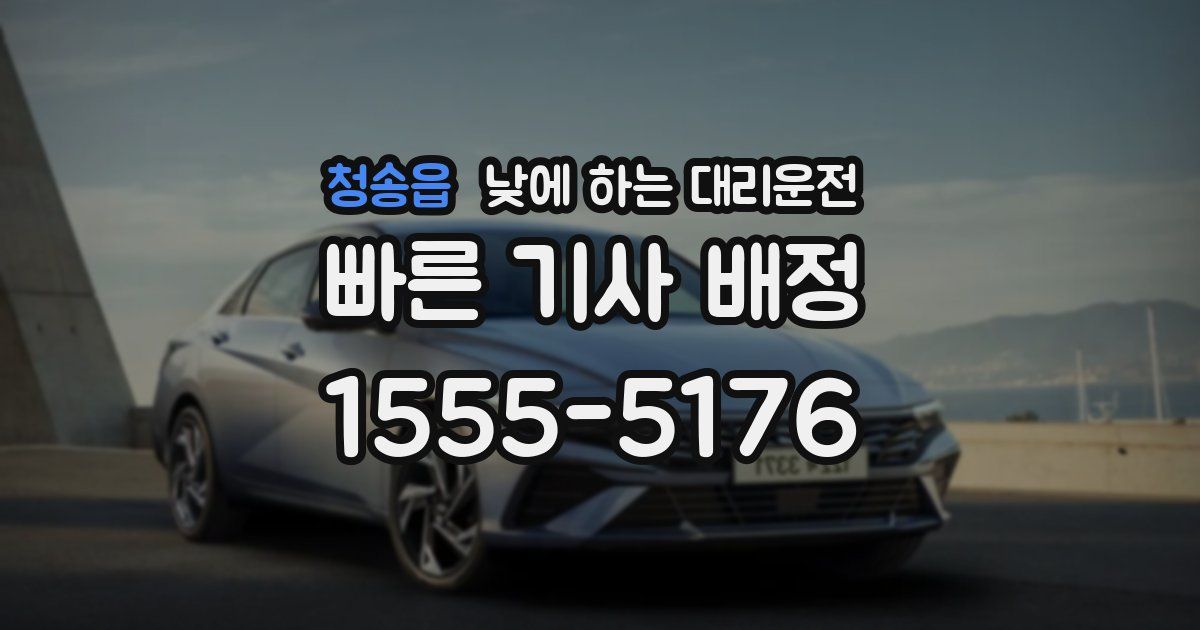 청송읍 낮에 하는 대리운전