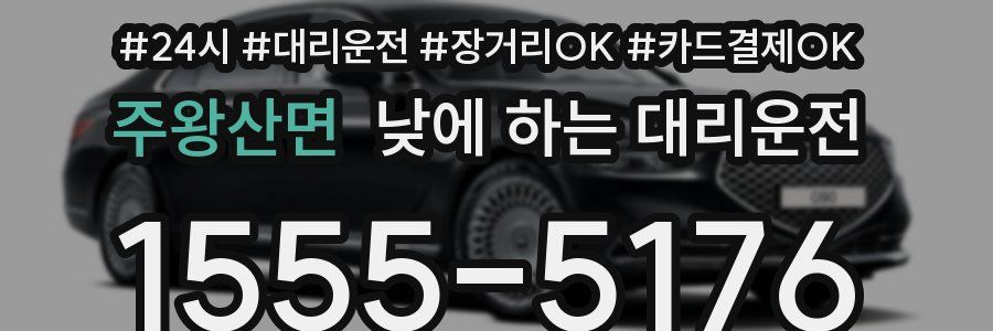 주왕산면 낮에 하는 대리운전