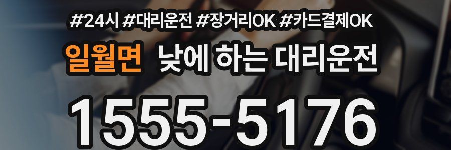 일월면 낮에 하는 대리운전