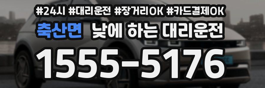 축산면 낮에 하는 대리운전