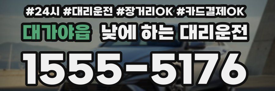 대가야읍 낮에 하는 대리운전