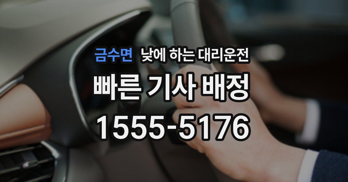 금수면 낮에 하는 대리운전