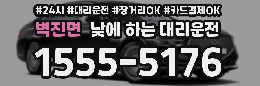 벽진면 낮에 하는 대리운전