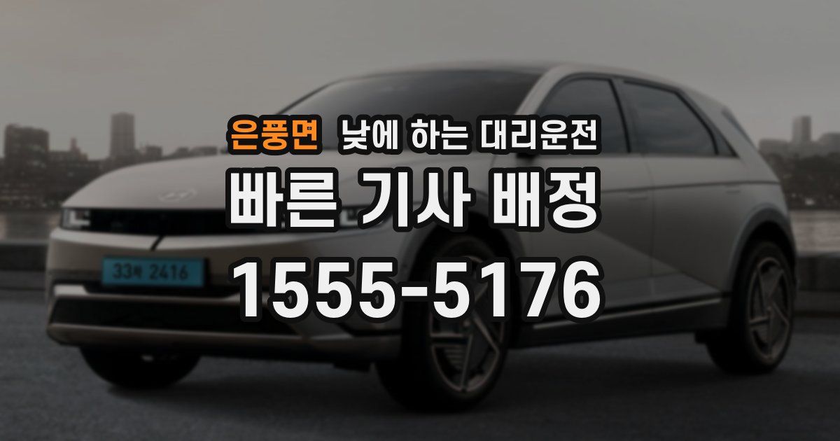 은풍면 낮에 하는 대리운전