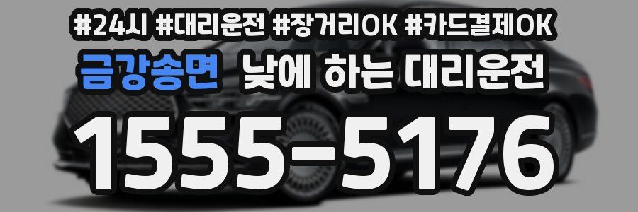 금강송면 낮에 하는 대리운전