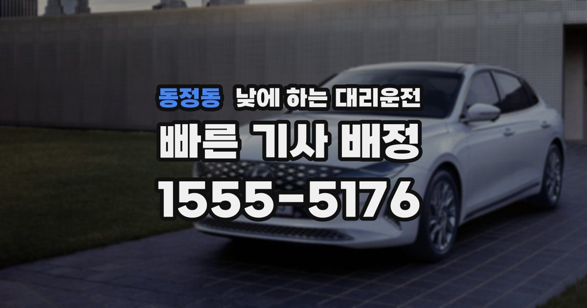 동정동 낮에 하는 대리운전