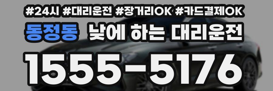 동정동 낮에 하는 대리운전