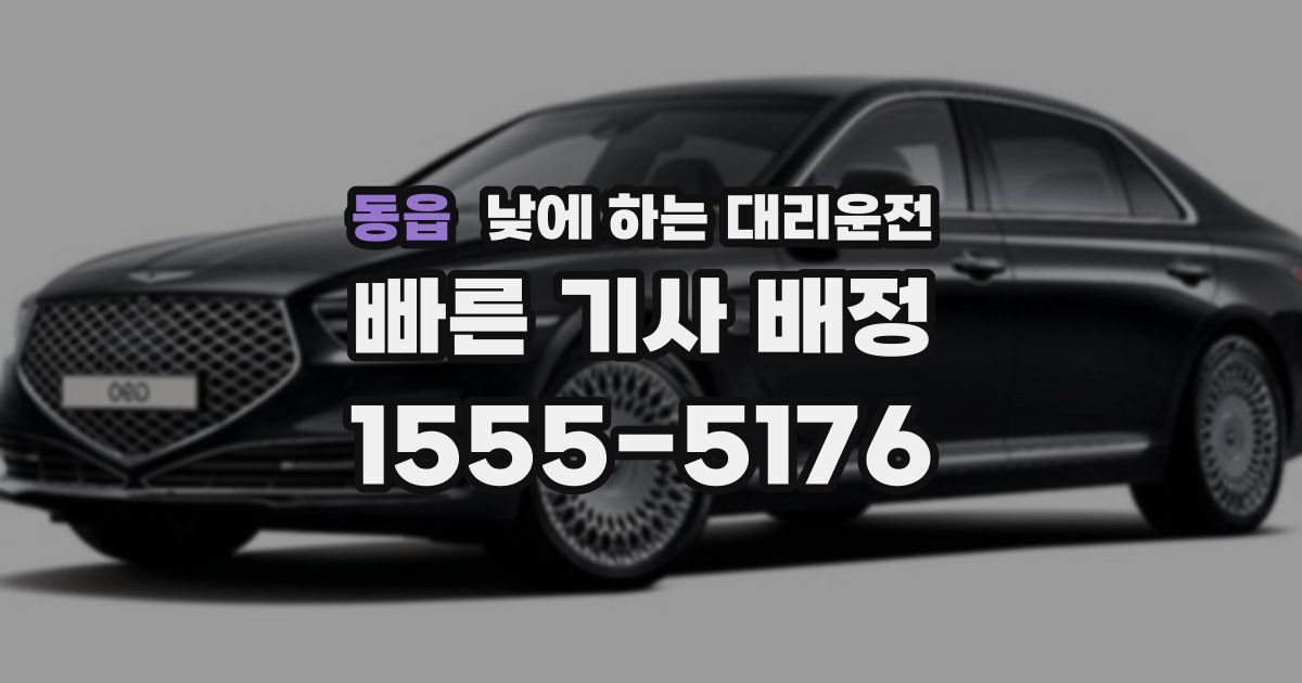 동읍 낮에 하는 대리운전