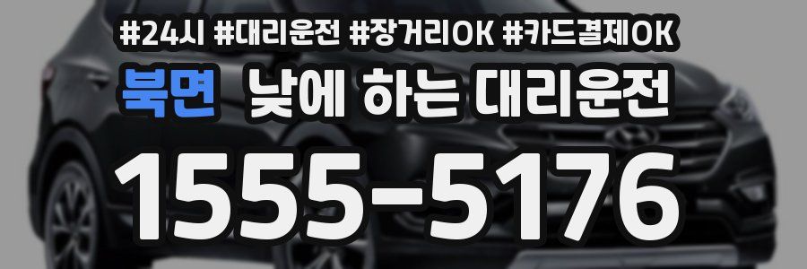 북면 낮에 하는 대리운전